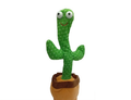 Cactus Bailarin Musical Sombrero y Bufan
